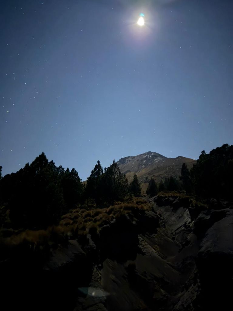 Pasión por las Alturas - Malintzin Forest